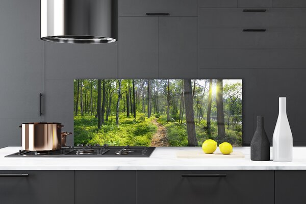 Sklenený obklad Do kuchyne Les chodník cestička príroda 125x50 cm