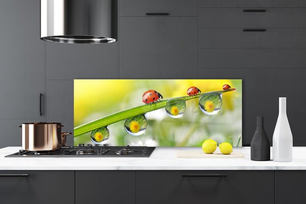 Sklenený obklad Do kuchyne List lienky príroda 125x50 cm