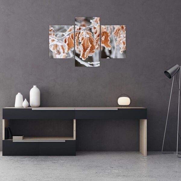Obraz - Zamrznuté listy (90x60 cm)