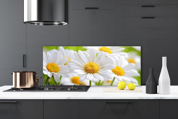 Sklenený obklad Do kuchyne Sedmokrásky rastlina príroda 125x50 cm