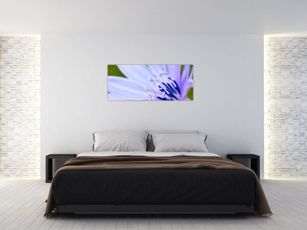 Obraz - kvet (120x50 cm)
