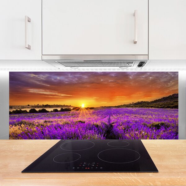 Sklenený obklad Do kuchyne Západ slnka pole levanduľa 125x50 cm