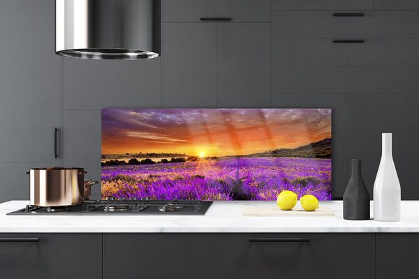 Sklenený obklad Do kuchyne Západ slnka pole levanduľa 125x50 cm