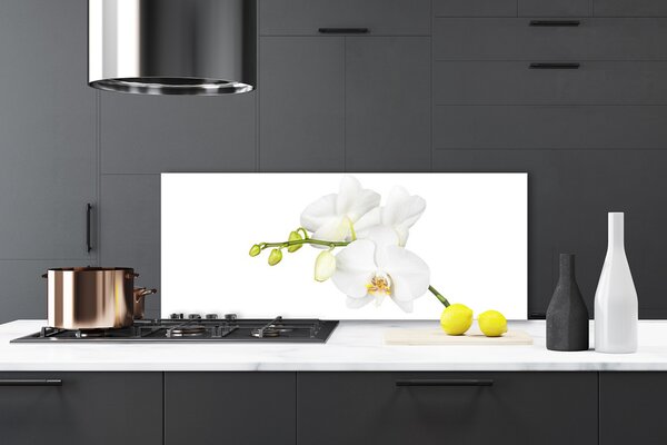 Sklenený obklad Do kuchyne Orchidea kvety príroda 125x50 cm