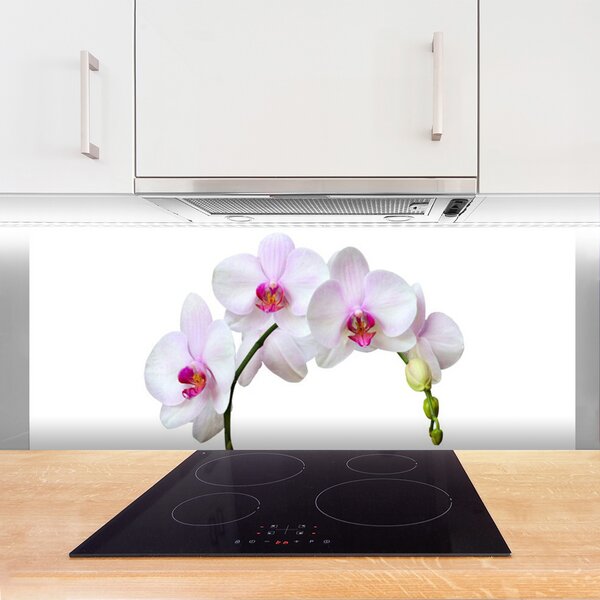 Sklenený obklad Do kuchyne Vstavač orchidea kvety 125x50 cm