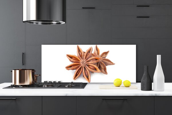 Sklenený obklad Do kuchyne Aníz hviezda príprava 125x50 cm