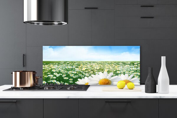 Sklenený obklad Do kuchyne Sedmokrásky kvety lúka pole 125x50 cm