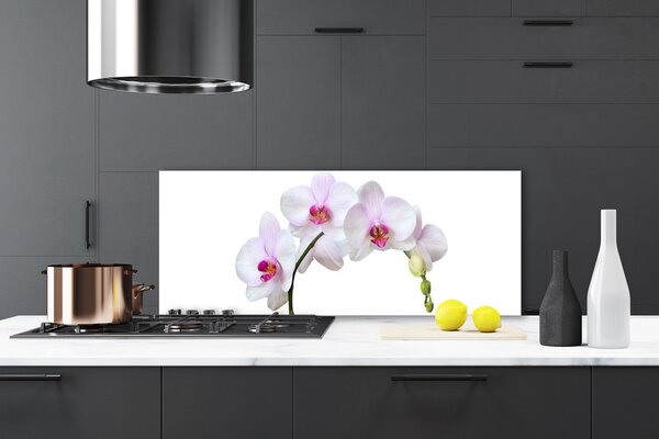Sklenený obklad Do kuchyne Vstavač orchidea kvety 125x50 cm