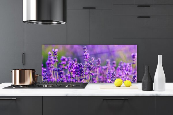 Sklenený obklad Do kuchyne Pole fialová levanduľa 125x50 cm