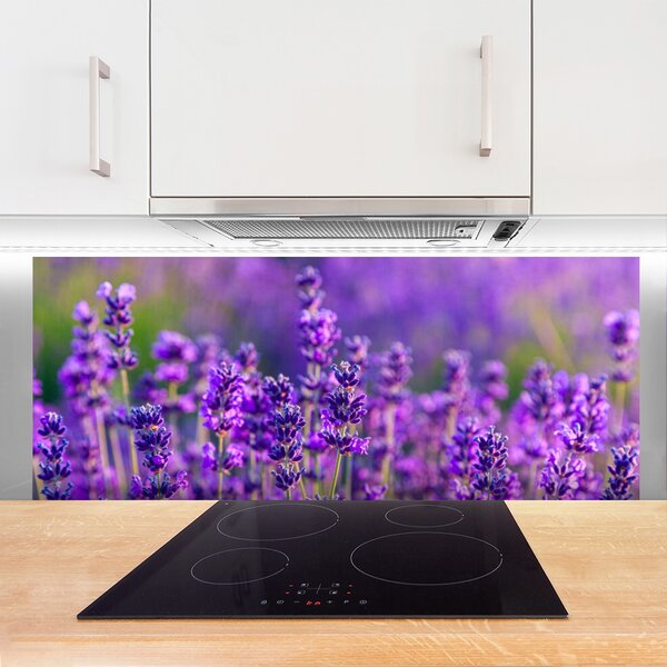 Sklenený obklad Do kuchyne Pole fialová levanduľa 125x50 cm