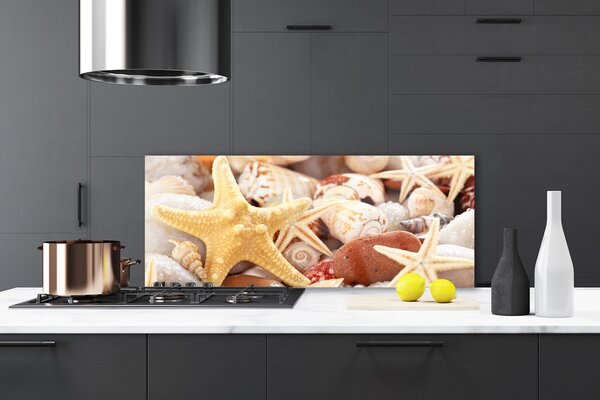 Sklenený obklad Do kuchyne Hviezdice mušle pláž 125x50 cm