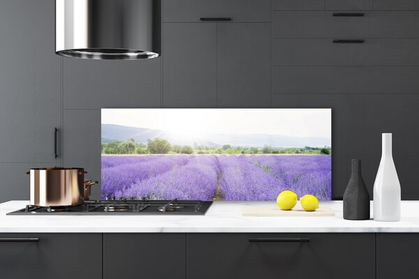 Sklenený obklad Do kuchyne Pole levanduľa príroda lúka 125x50 cm