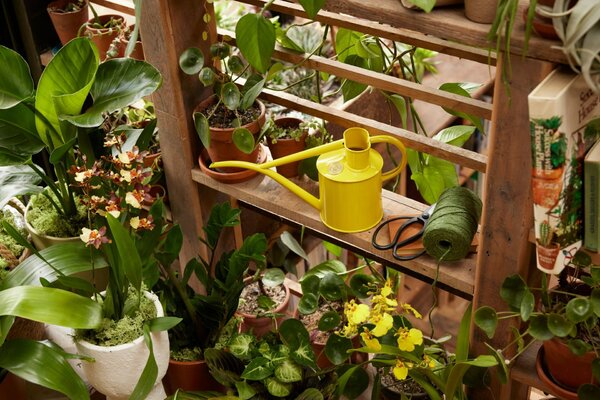 Krhlička na polievanie Fazeley Flow Lotus Yellow – 1 l