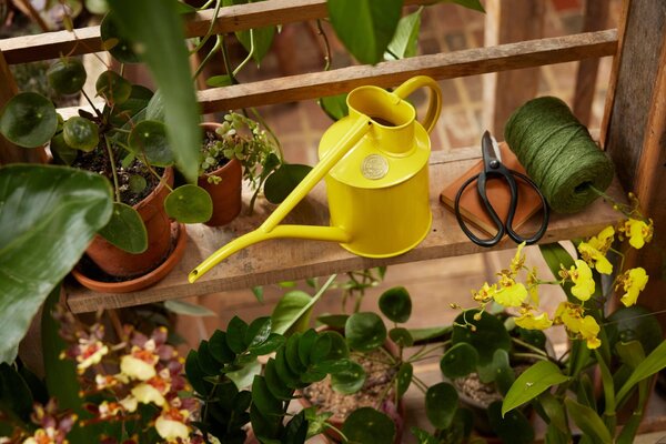 Krhlička na polievanie Fazeley Flow Lotus Yellow – 1 l