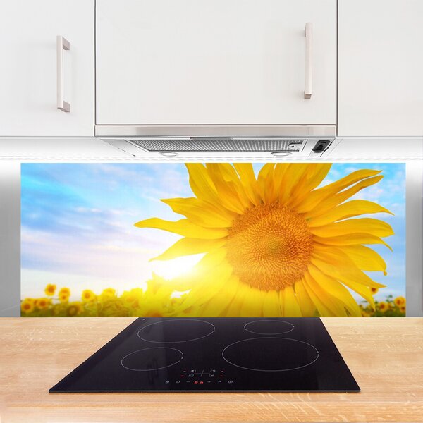 Sklenený obklad Do kuchyne Slnečnica kvet slnko 125x50 cm