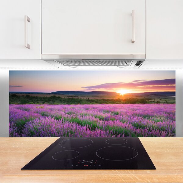 Sklenený obklad Do kuchyne Levanduľa pole lúka západ 125x50 cm