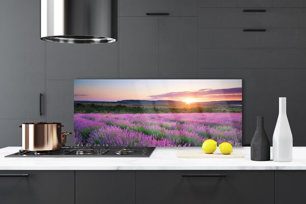 Sklenený obklad Do kuchyne Levanduľa pole lúka západ 125x50 cm