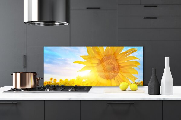 Sklenený obklad Do kuchyne Slnečnica kvet slnko 125x50 cm