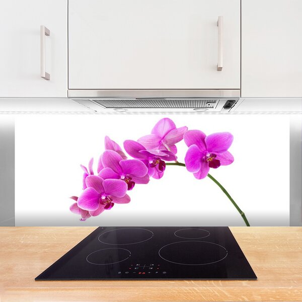 Sklenený obklad Do kuchyne Vstavač kvet orchidea 125x50 cm