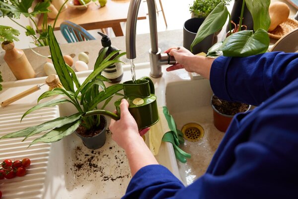 Krhlička na polievanie Fazeley Flow Fern Green – 600 ml