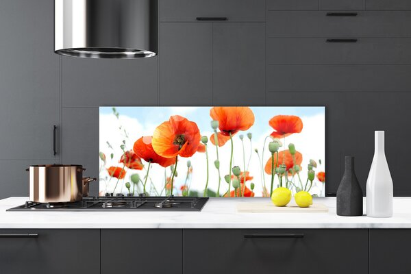 Sklenený obklad Do kuchyne Kvety maky lúka pole príroda 125x50 cm