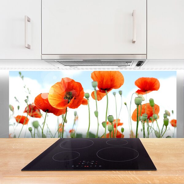 Sklenený obklad Do kuchyne Kvety maky lúka pole príroda 125x50 cm
