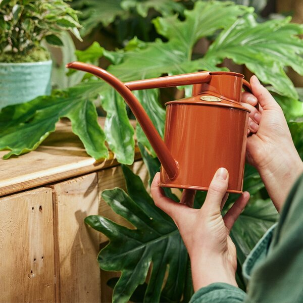 Kanvička na zalievanie Fazeley Flow Terracotta Orange – 1 l
