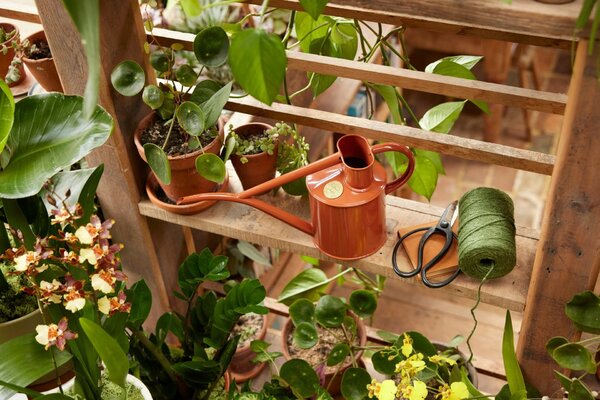Kanvička na zalievanie Fazeley Flow Terracotta Orange – 1 l
