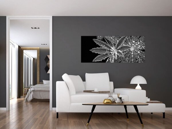 Obraz - Kvapky (120x50 cm)