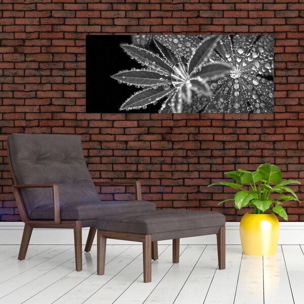 Obraz - Kvapky (120x50 cm)