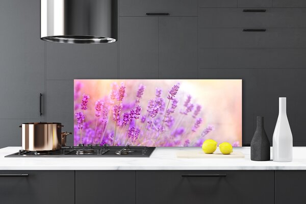 Sklenený obklad Do kuchyne Levanduľovej pole slnko kvety 125x50 cm