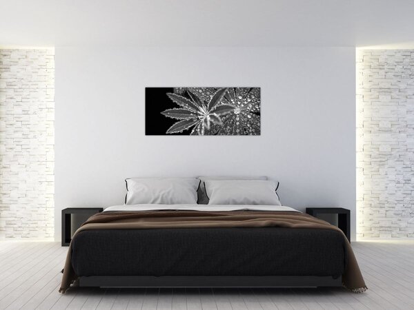 Obraz - Kvapky (120x50 cm)