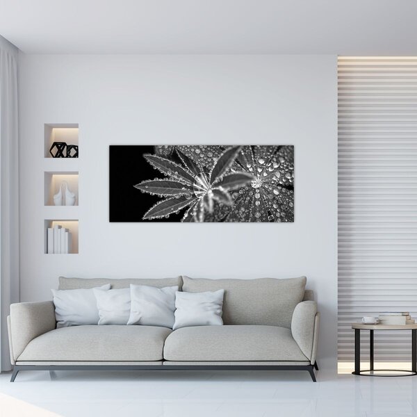 Obraz - Kvapky (120x50 cm)