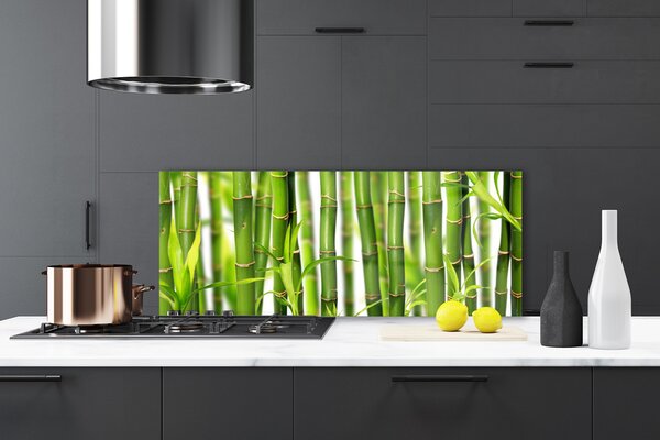 Sklenený obklad Do kuchyne Bambusové výhonky listy bambus 125x50 cm
