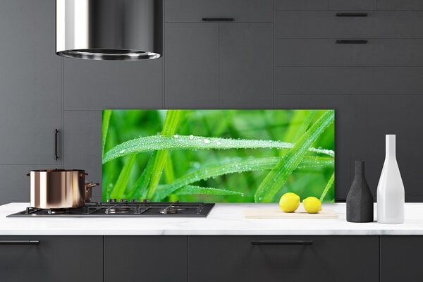 Sklenený obklad Do kuchyne Listy kvapky rosy príroda 125x50 cm