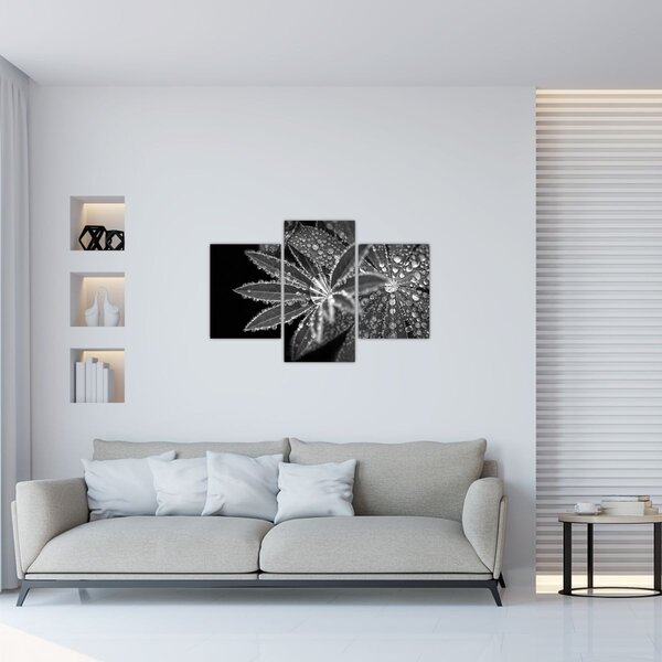 Obraz - Kvapky (90x60 cm)