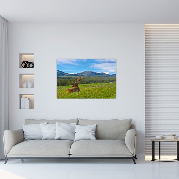 Obraz - Jeleň v lúke (90x60 cm)