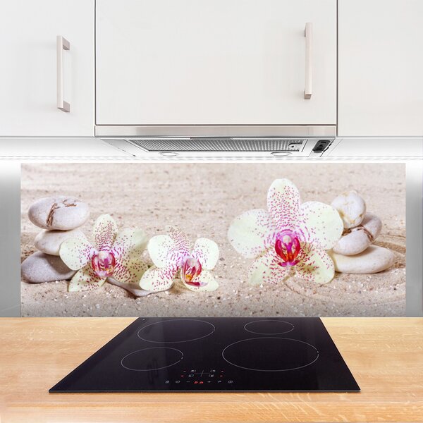 Sklenený obklad Do kuchyne Orchidea kamene zen písek 125x50 cm