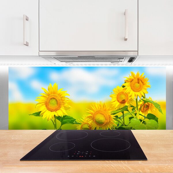 Sklenený obklad Do kuchyne Slnečnica kvety príroda 125x50 cm