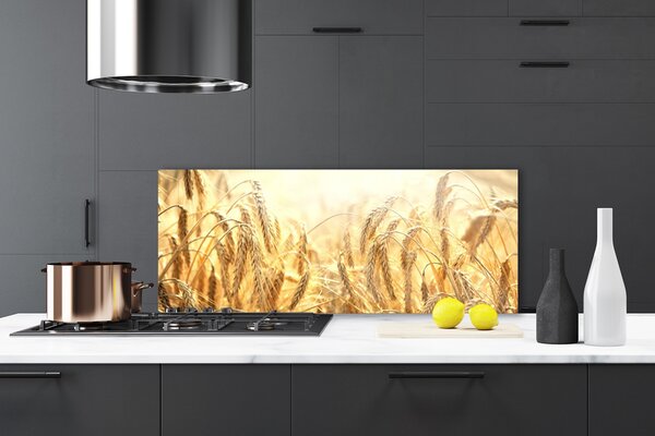 Sklenený obklad Do kuchyne Obilie pole klasy príroda 125x50 cm