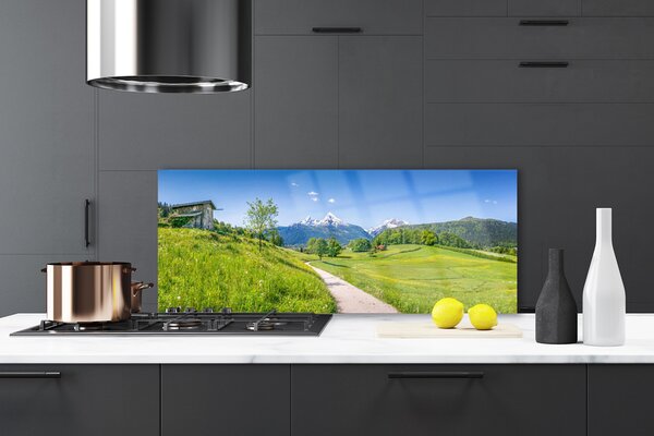Sklenený obklad Do kuchyne Hory lúka chodník údolí 125x50 cm