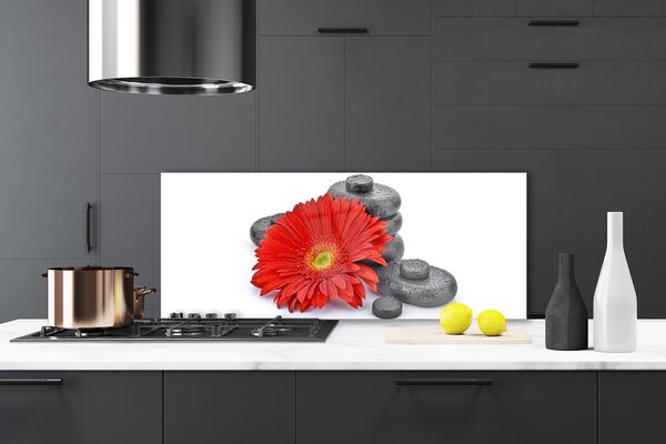 Sklenený obklad Do kuchyne Kvety gerbery kamene zen 125x50 cm