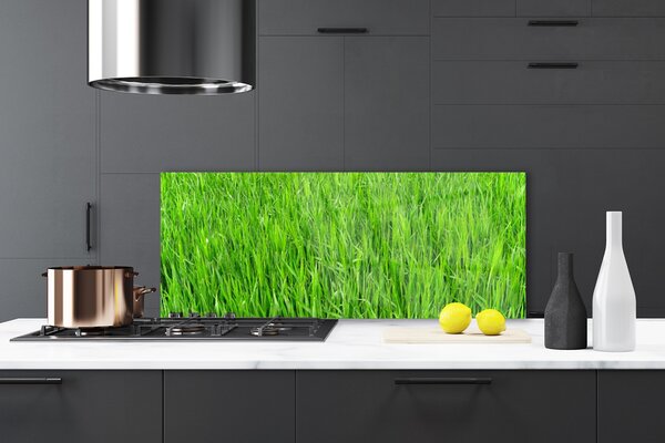 Sklenený obklad Do kuchyne Zelená tráva príroda trávnik 125x50 cm