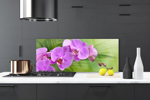 Sklenený obklad Do kuchyne Vstavač orchidea kvety 125x50 cm