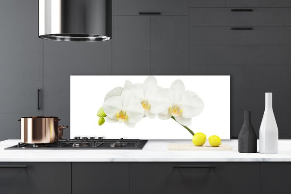 Sklenený obklad Do kuchyne Orchidea výhonky kvety príroda 125x50 cm