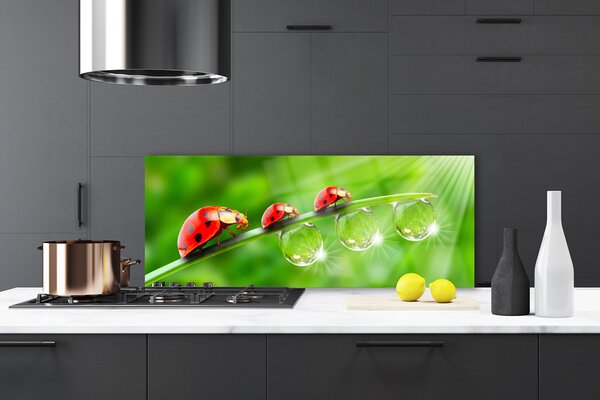 Sklenený obklad Do kuchyne Lienky na listu kvapky 125x50 cm