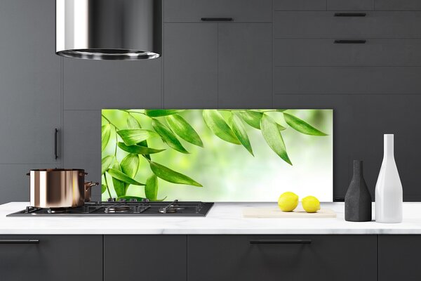 Sklenený obklad Do kuchyne Zelené listy príroda 125x50 cm