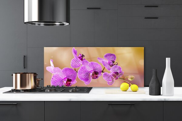 Sklenený obklad Do kuchyne Orchidea výhonky kvety príroda 125x50 cm
