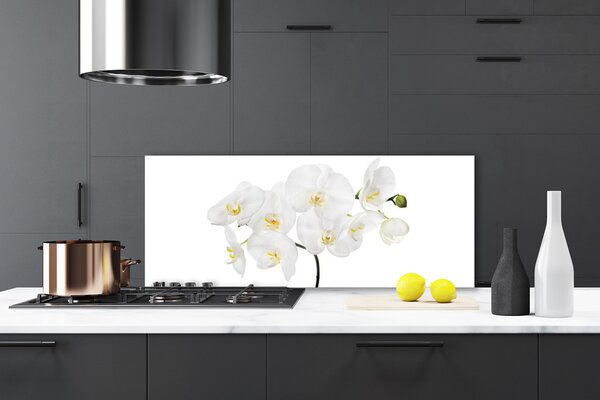 Sklenený obklad Do kuchyne Biela orchidea kvety 125x50 cm