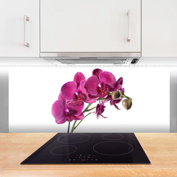 Sklenený obklad Do kuchyne Orchidea kvety príroda 125x50 cm